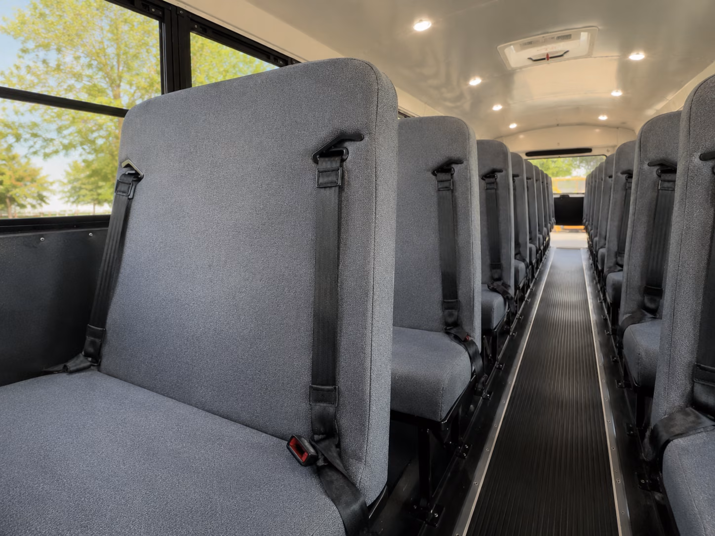 school bus rentals for troy area nature and outdoor education trips