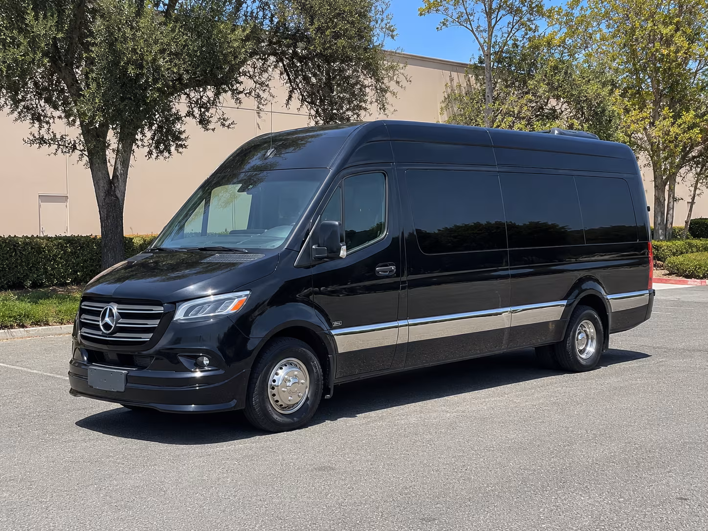 troy birthday party transportation