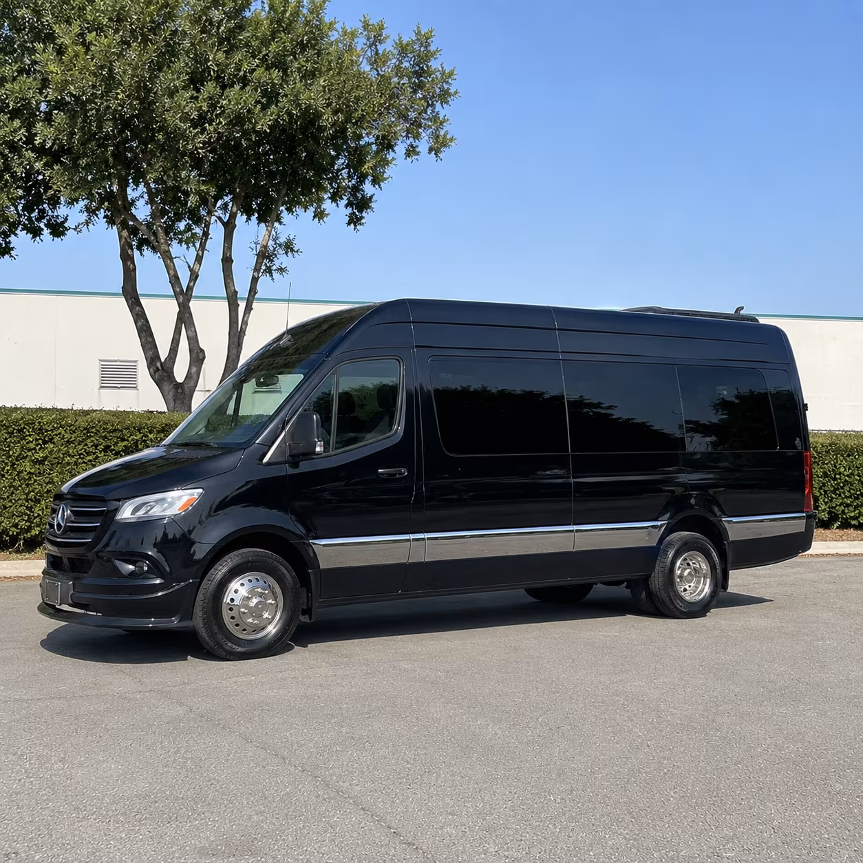 troy sprinter van with driver